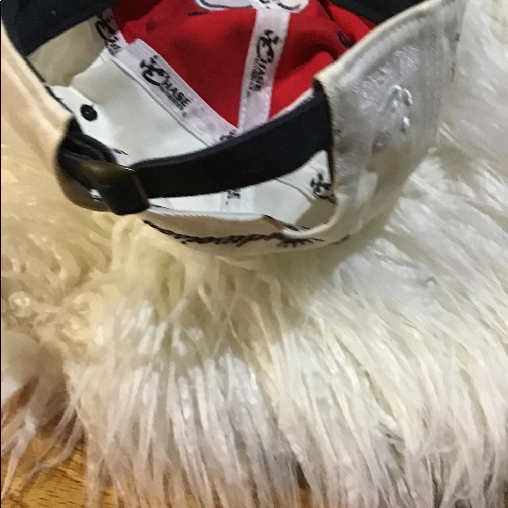 Men’s Budweiser dale JR cap/hat
